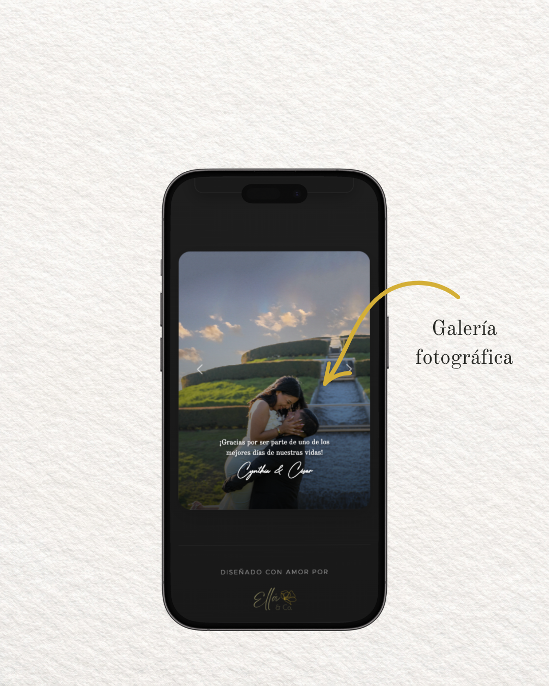 Ellá & Co. — UI: Galería Multimedia